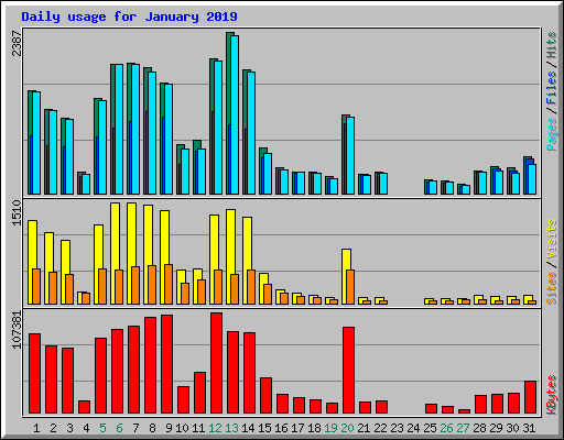 Daily usage for January 2019