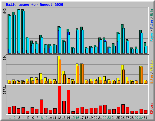 Daily usage for August 2020