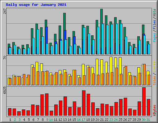 Daily usage for January 2021