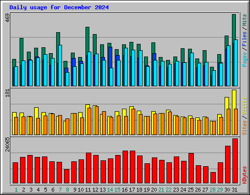 Daily usage for December 2024