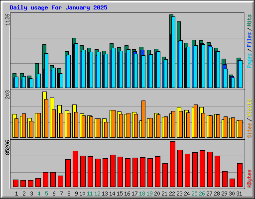 Daily usage for January 2025