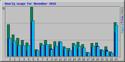 Hourly usage for November 2016