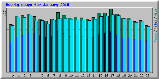 Hourly usage for January 2019