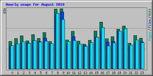 Hourly usage for August 2019
