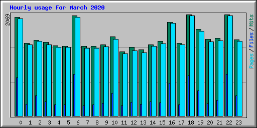 Hourly usage for March 2020