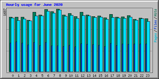 Hourly usage for June 2020