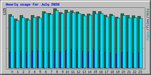 Hourly usage for July 2020