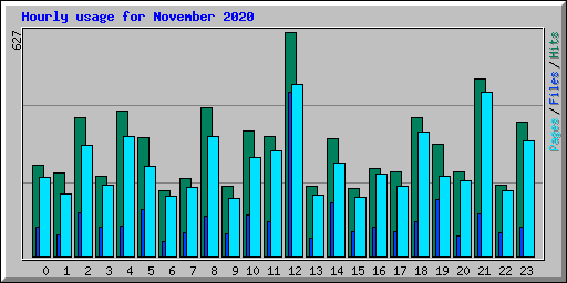 Hourly usage for November 2020