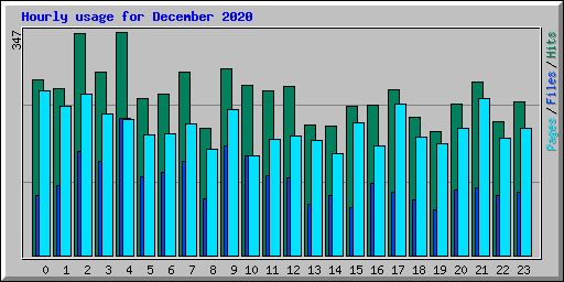 Hourly usage for December 2020