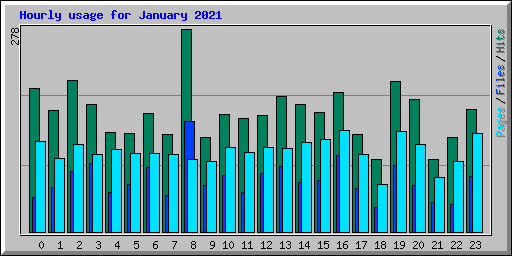 Hourly usage for January 2021