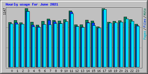 Hourly usage for June 2021