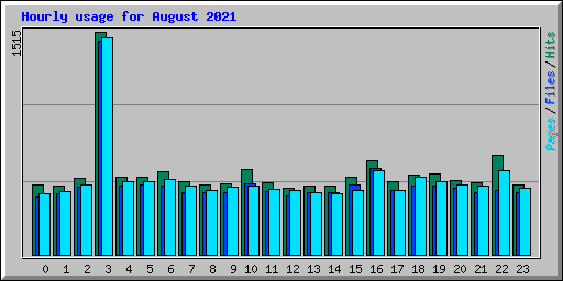 Hourly usage for August 2021