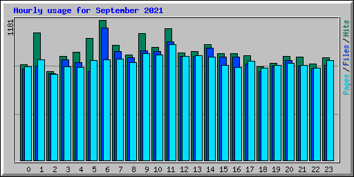 Hourly usage for September 2021