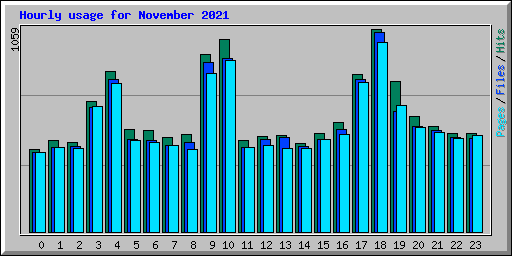Hourly usage for November 2021