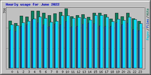 Hourly usage for June 2022