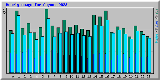 Hourly usage for August 2023