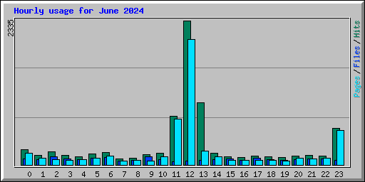 Hourly usage for June 2024