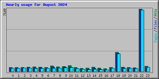 Hourly usage for August 2024