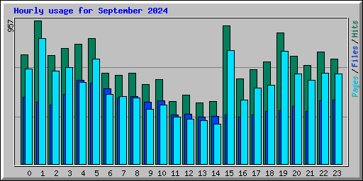 Hourly usage for September 2024