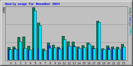 Hourly usage for November 2024