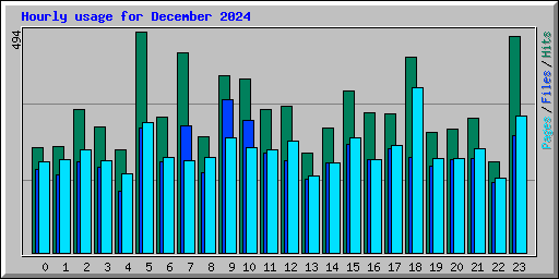 Hourly usage for December 2024