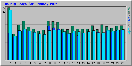 Hourly usage for January 2025