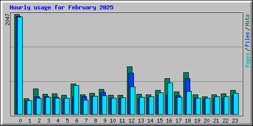 Hourly usage for February 2025