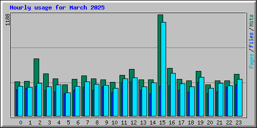 Hourly usage for March 2025