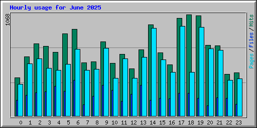 Hourly usage for June 2025