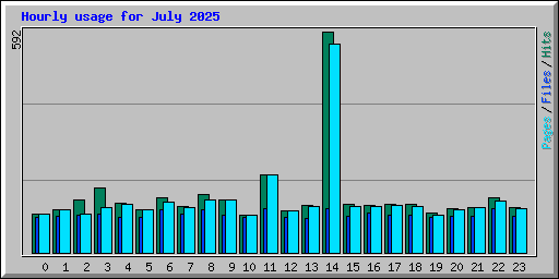 Hourly usage for July 2025