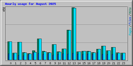 Hourly usage for August 2025